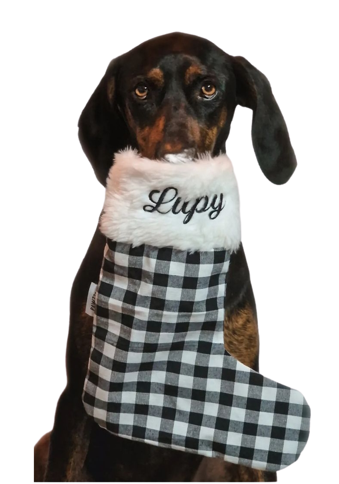 X-mas BootzzZ - Bota de Natal Personalizada