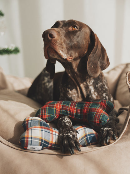 Osso Solidário - Edição Natal