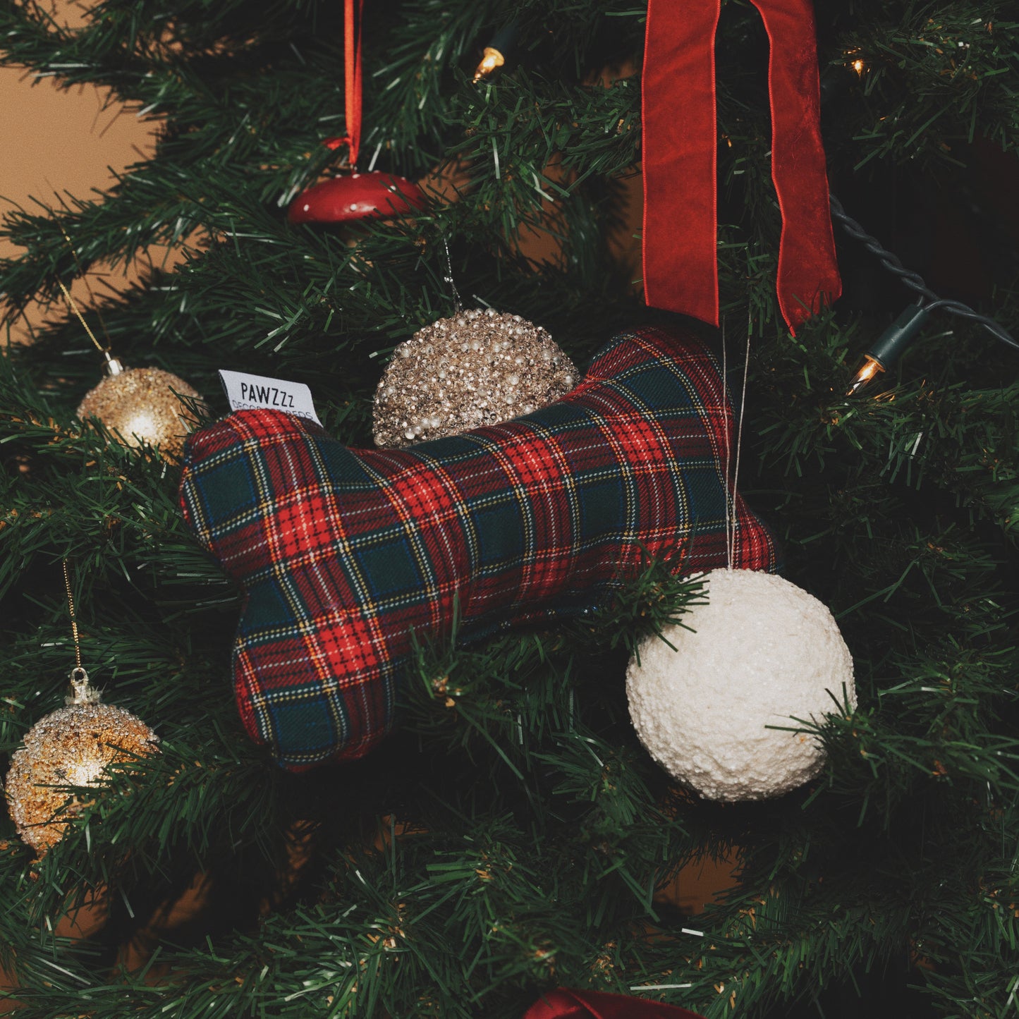 Osso Solidário - Edição Natal