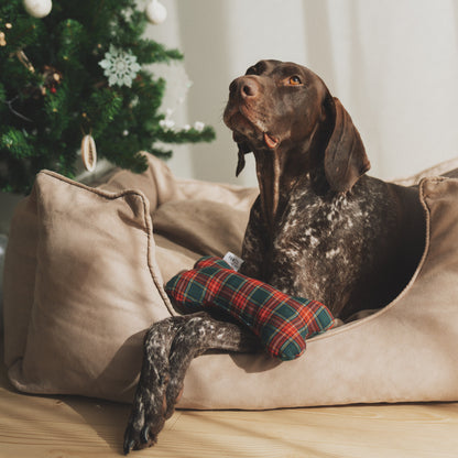 Osso Solidário - Edição Natal