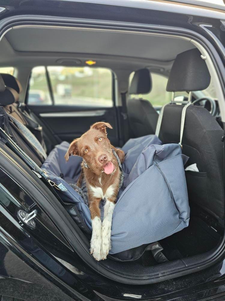 CarSeat para cães cor Titanium Grey— vista lateral, fechada, a ser usada por um cão, resistente, impermeável, segura e portátil; ideal para viagens de carro com animais.