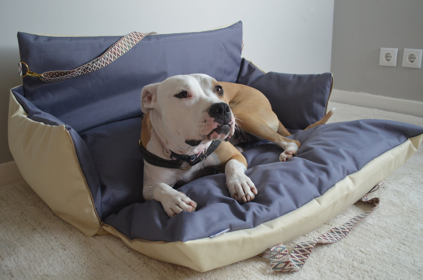 CarSeat para cães cor Nordic tamanho M— vista frontal, aberta, usada por um cão, resistente, impermeável, segura e portátil; ideal para viagens de carro com animais.