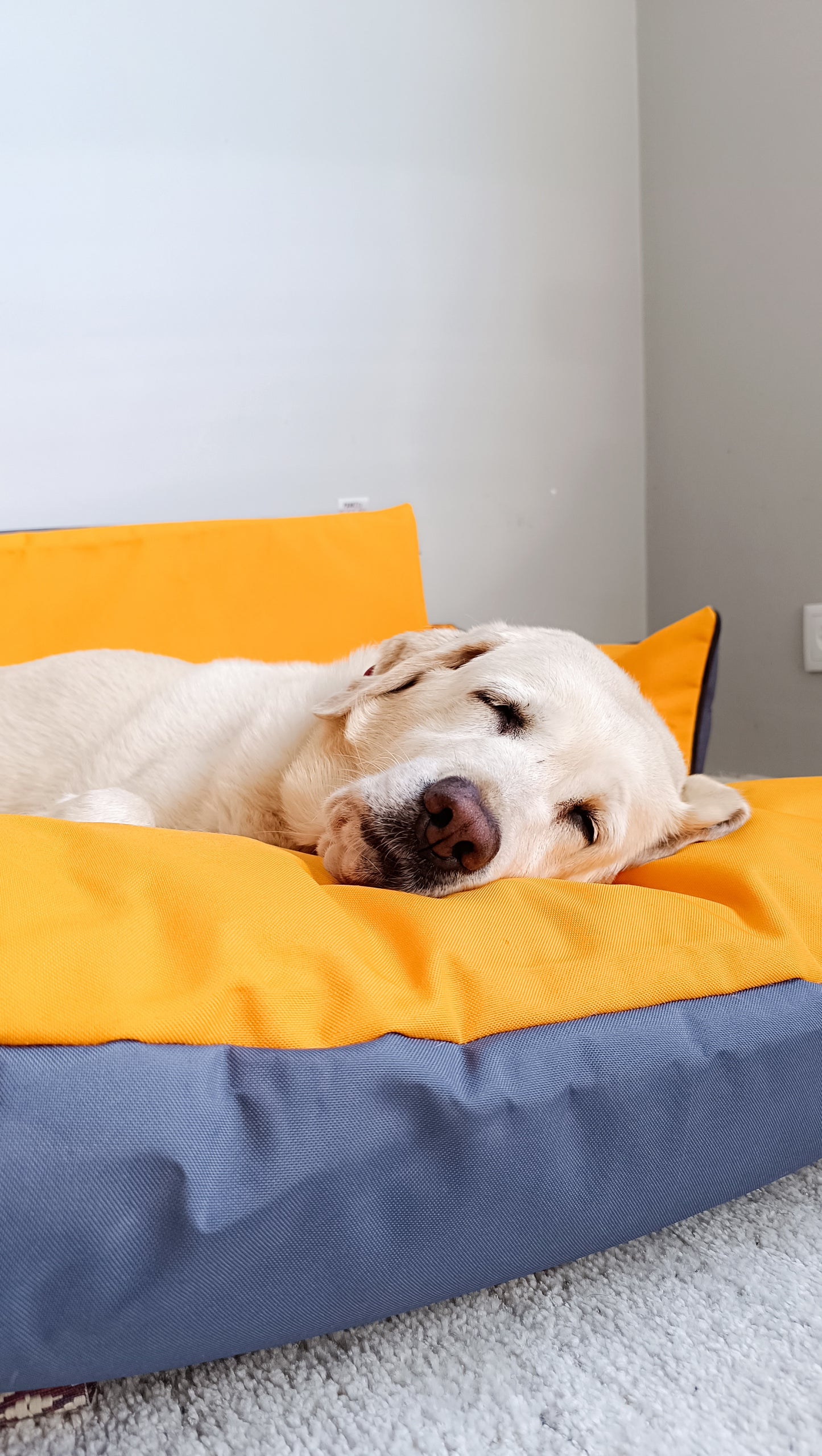 CarSeat para cães cor Sunset tamanho M— vista frontal, aberta, resistente, impermeável, segura e portátil; ideal para viagens de carro com animais.