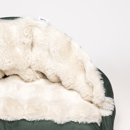 Cama Cave Bubble Collection® 2026 - Olive Green