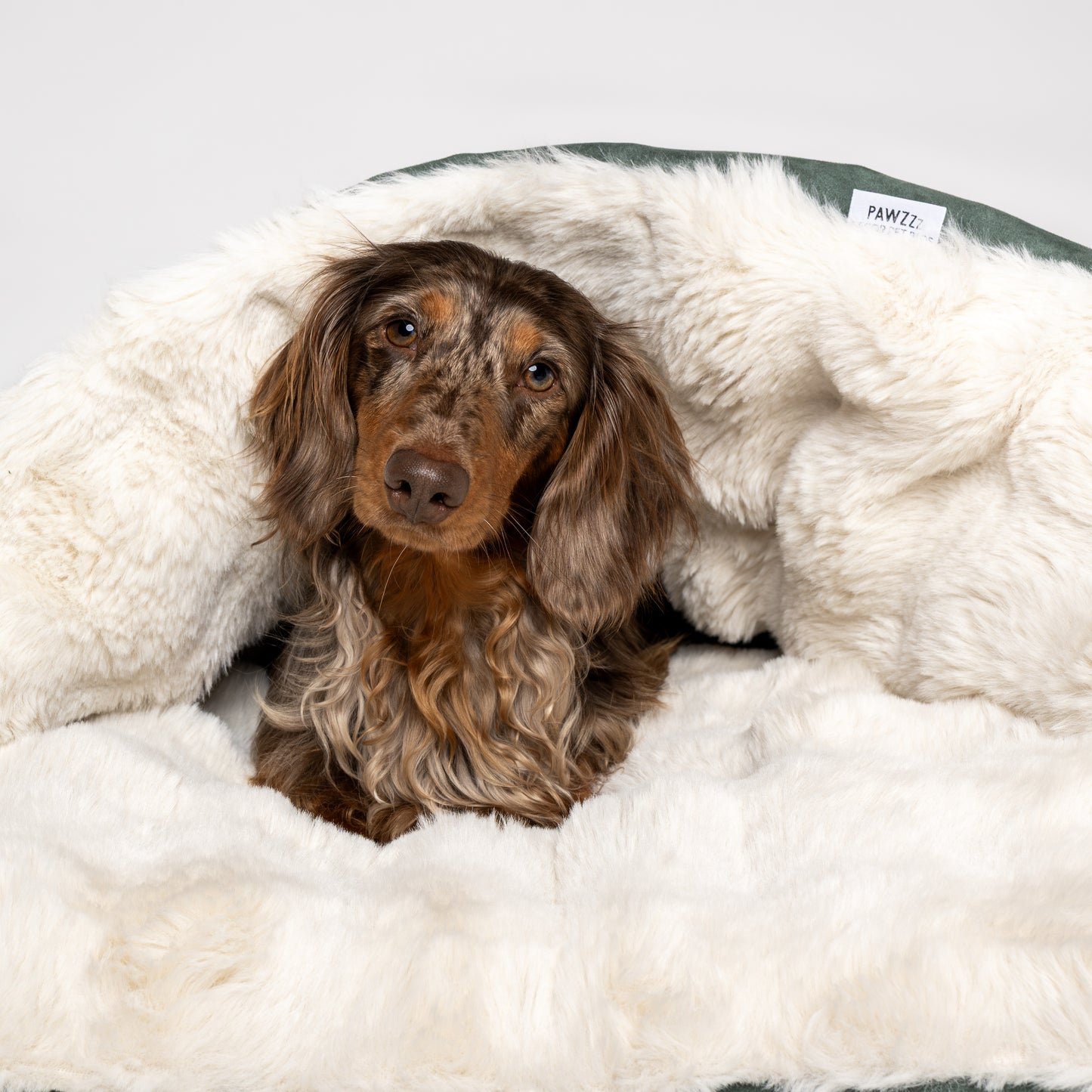 Cama Cave Bubble Collection® 2026 - Olive Green