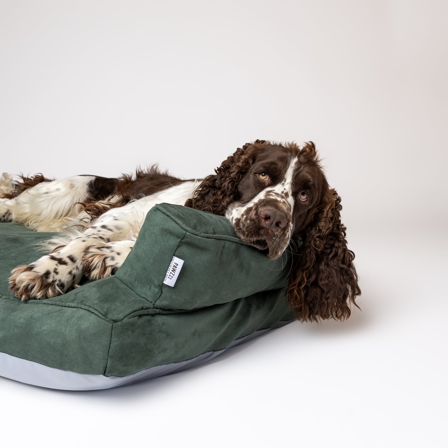 Cama Couch - Verde Oliva