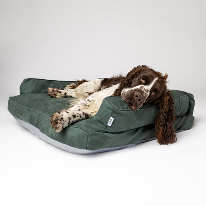 Cama Couch - Verde Oliva