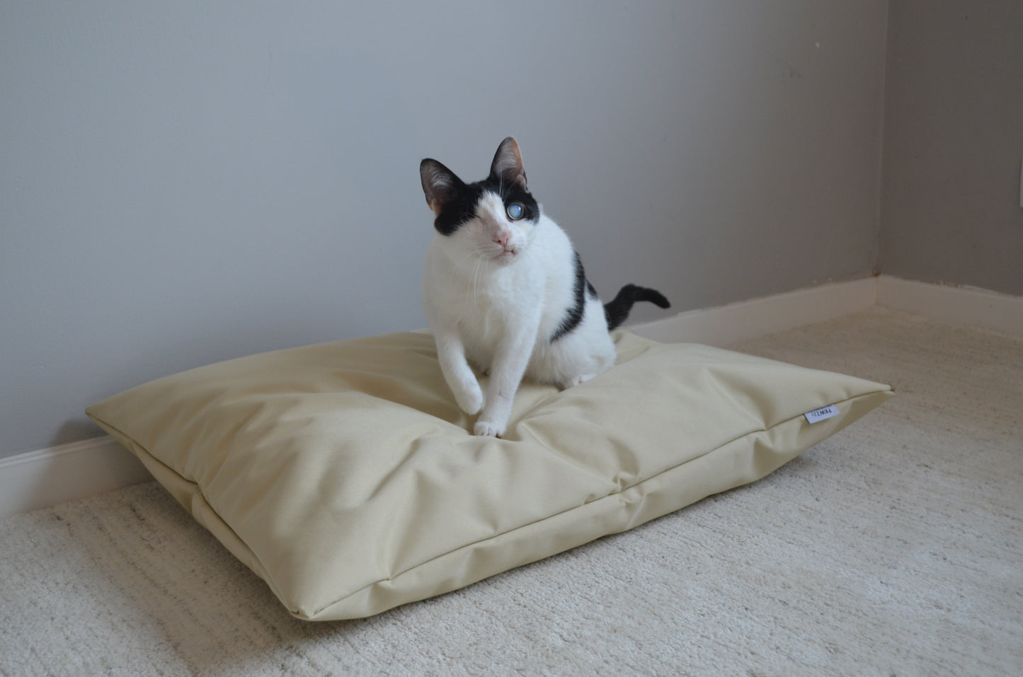 Cama Basic Indestructible - Bege