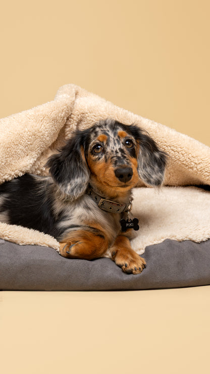 Cama Cave - Basalt Gray