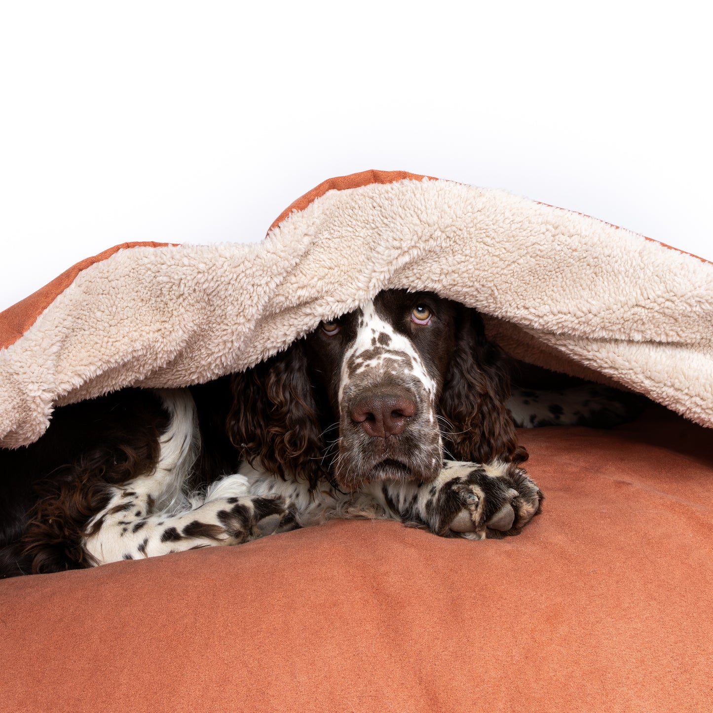 Cama Cave - Terracota