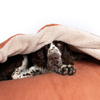 Cama Cave - Terracota