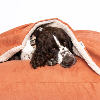 Cama Cave Resistance - Terracota