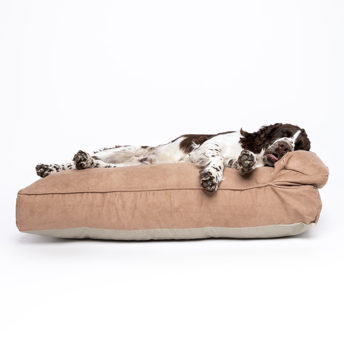 Cama Contour - Camel