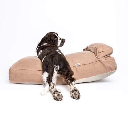 Cama Contour - Camel