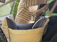 CarSeat - Sunset