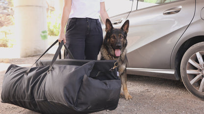 CarSeat Element- Green